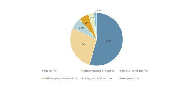 Grafik 1: Anteile an den gemeldeten Auslagerungen (in Prozent)